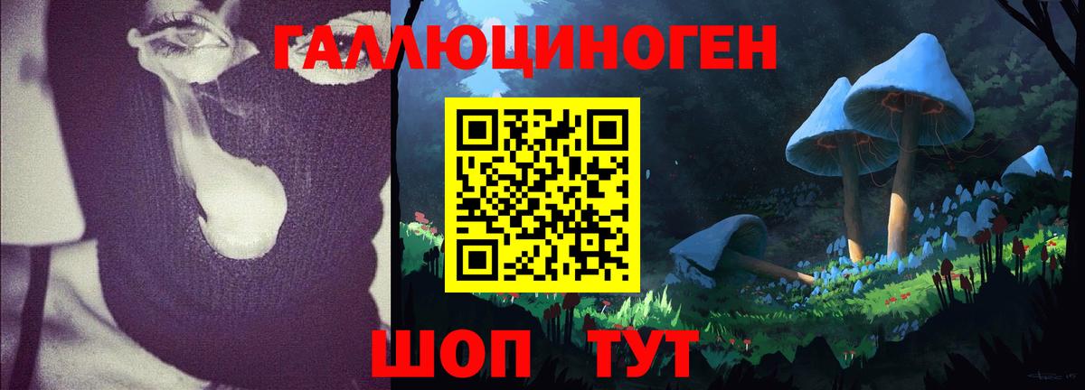Галлюциногенные грибы MAGIC MUSHROOMS Людиново